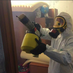 Уничтожение клопов в квартире. Сортавала